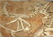 کشف بقایای دایناسورها در کرمان + تصاویر