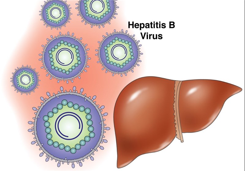 Oral Hepatitis B Vaccine Could Become A Reality