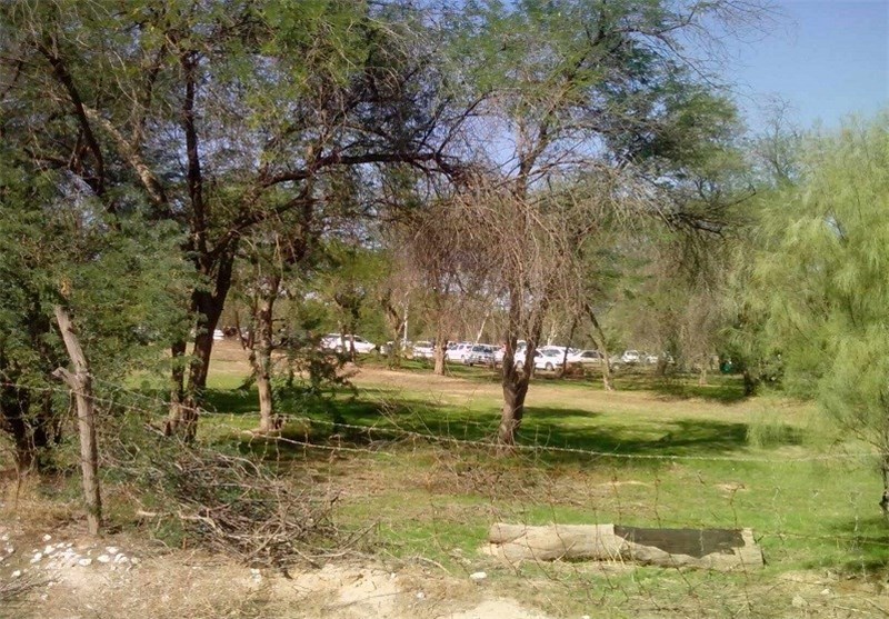 هیچ خدماتی در پارک‌های جنگلی استان بوشهر ارائه نمی‌شود