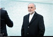 Iran Makes Fuel Assembly for Bushehr Nuclear Plant Using Lead Pellets