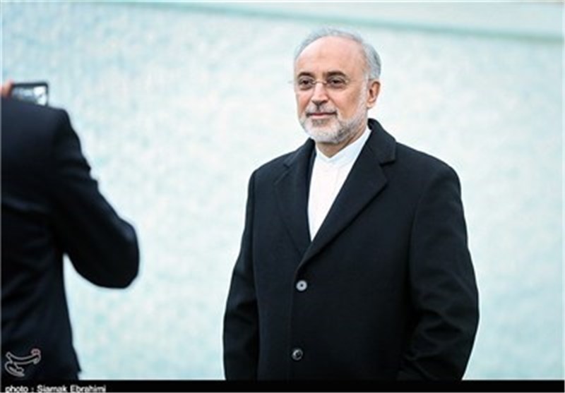 رئیس منظمة الطاقة الذریة: تقدم المفاوضات النوویة الجاریة بین ایران و5+1 بطیئة