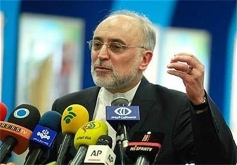 Iran Planning to Develop Small Nuclear Power Plants