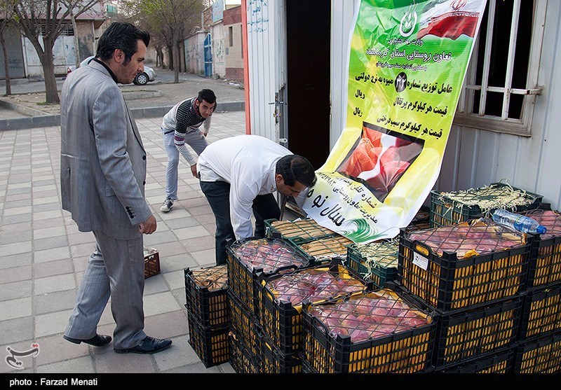 اما‌و‌اگرهای نرخ میوه دولتی در همدان/ستاد تنظیم بازار قیمت‌گذاری تعاون روستایی را تائید نکرد