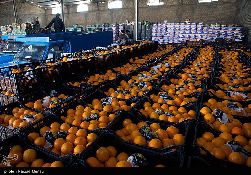 توزیع 700 تن میوه در گیلان