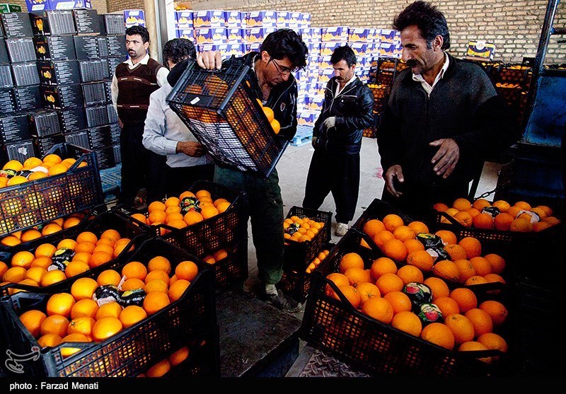 108 پایگاه توزیع میوه عید در اردبیل مستقر می‌شود