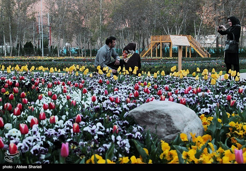 جشنواره لاله‌ها با رویش 200 هزار گل لاله در کرج برگزار می‌شود