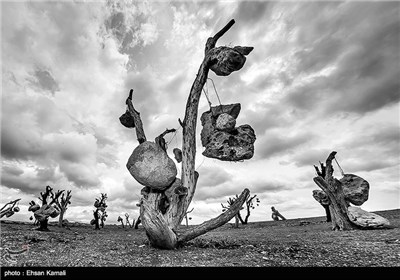 Stone Garden: Iran's Most Amazing Garden