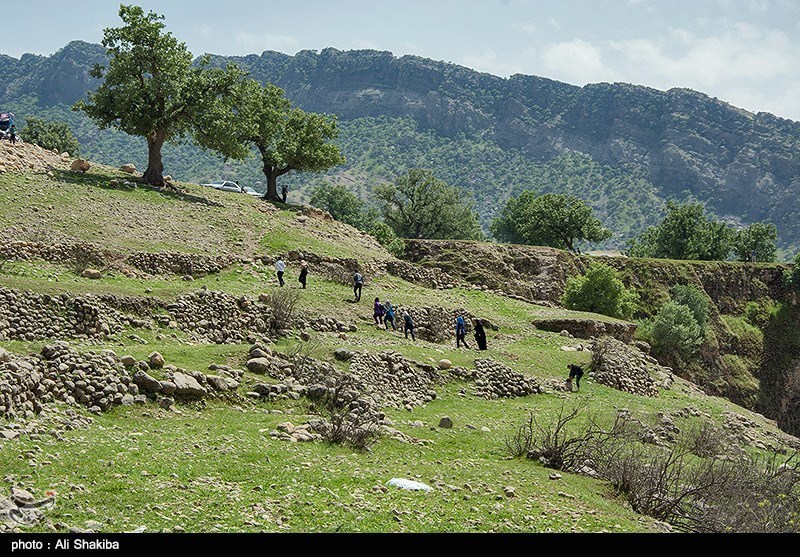 طبیعت بهاری خوزستان