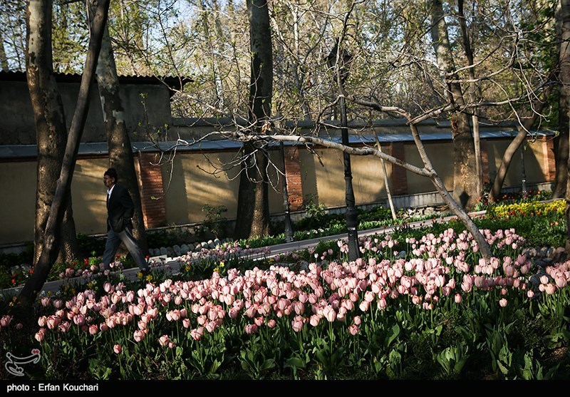 Iranian Garden: A Tourist Attraction in Capital