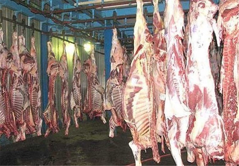 سالانه 27 هزار تن گوشت قرمز استان در خراسان شمالی تولید می‌شود