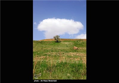 Iran's Beauties in Photos: Spring in Chaharmahal and Bakhtiari Province