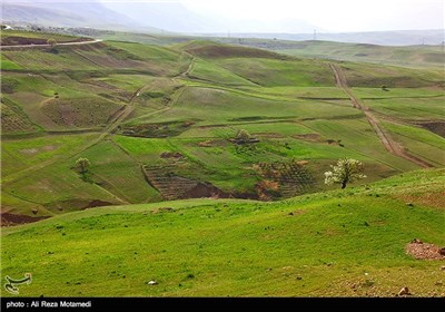 Iran's Beauties in Photos: Spring in Chaharmahal and Bakhtiari Province