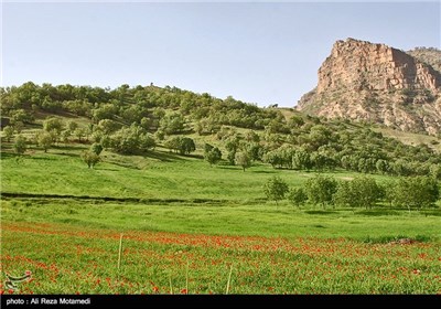 Iran's Beauties in Photos: Spring in Chaharmahal and Bakhtiari Province