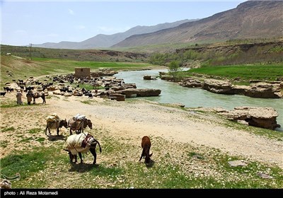 Iran's Beauties in Photos: Spring in Chaharmahal and Bakhtiari Province