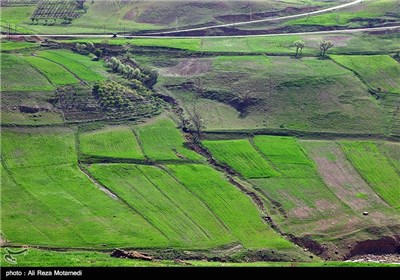 Iran's Beauties in Photos: Spring in Chaharmahal and Bakhtiari Province