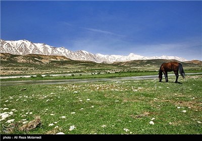 Iran's Beauties in Photos: Spring in Chaharmahal and Bakhtiari Province