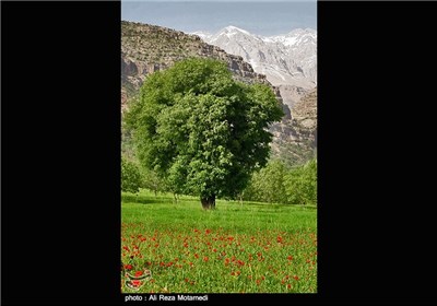 Iran's Beauties in Photos: Spring in Chaharmahal and Bakhtiari Province