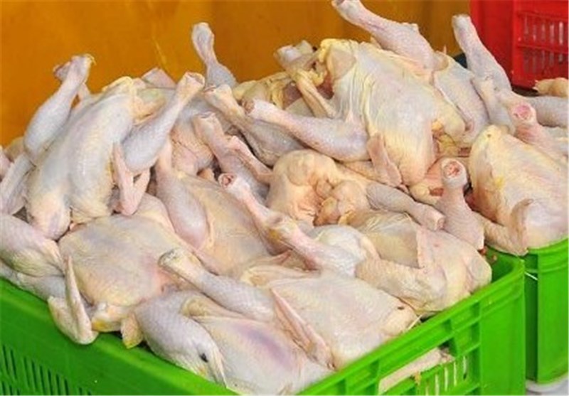 صادرات مرغ از استان گلستان افزایش می‌یابد