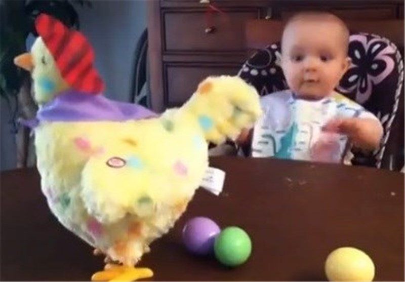 فیلم/ ذوق زدگی کودک از مرغ تخمگذار!