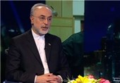 Iran Begins Preliminary Steps to Implement Nuclear Deal: AEOI Chief