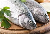 تولید ماهی در استان کرمانشاه 53 درصد افزایش می‌یابد