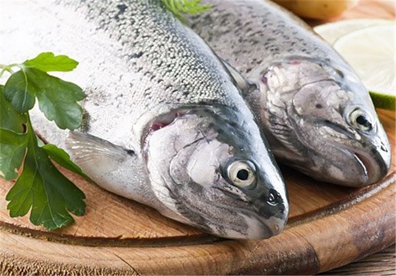 تولید ماهی در استان کرمانشاه 53 درصد افزایش می‌یابد