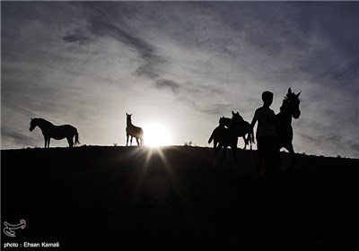  Horse-Racing in Iran’s Jargalan County