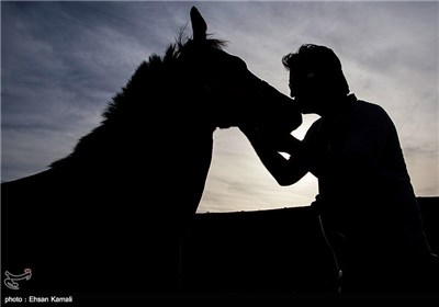  Horse-Racing in Iran’s Jargalan County