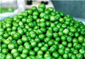 بازار داغ میوه‌های نوبرانه‌ در مشهد/ تب قیمت گوجه سبز فروکش کرد