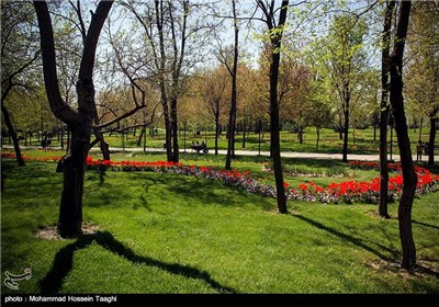 Spring Flower Festival Held in Mashhad