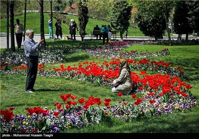 Spring Flower Festival Held in Mashhad