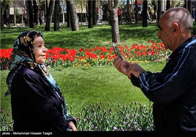 Spring Flower Festival Held in Mashhad