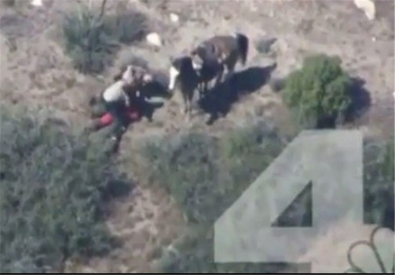 California Police under Investigation for Bashing Suspect after Horse Chase