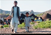 اختصاص 200 میلیارد تسهیلات به عشایر سیستان و بلوچستان