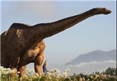 تصاویر کشف تخم‌ دایناسور در چین