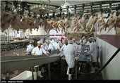 بازارچه توزیع و کشتارگاه مرغ زنده در زاهدان افتتاح شد
