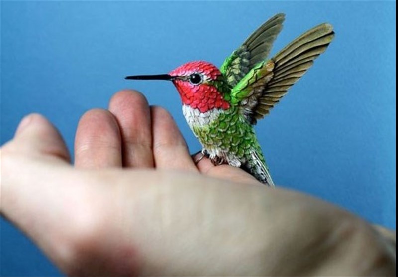 تصاویر پرنده های زیبا از جنس چوب و کاغذ