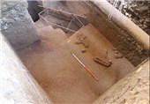 کشف بقایای دومین اسکلت در کنار اسکلت زن 7 هزارساله تهران