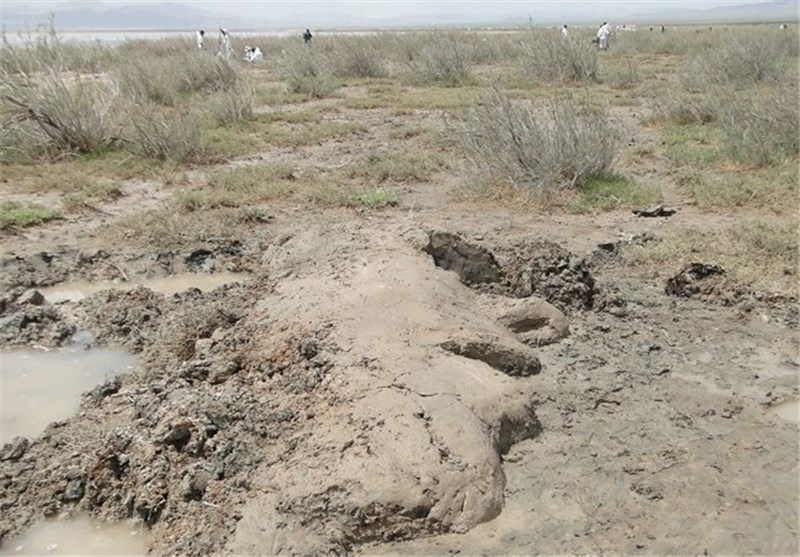 دبیرخانه دائمی جشنواره مجسمه‌های نمکی در نهبندان ایجاد می‌شود