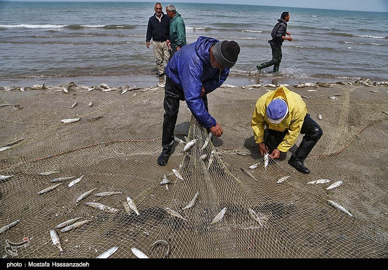 برخورد با صیادان غیرمجاز ماهی در اردبیل تشدید می‌شود/ممنوعیت صید در اردبیل
