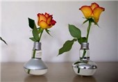 ایده های جالب و زیبا برای دکور خانه با گلدان