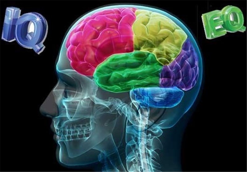 نقش ضریب هوشی در طول عمر انسان