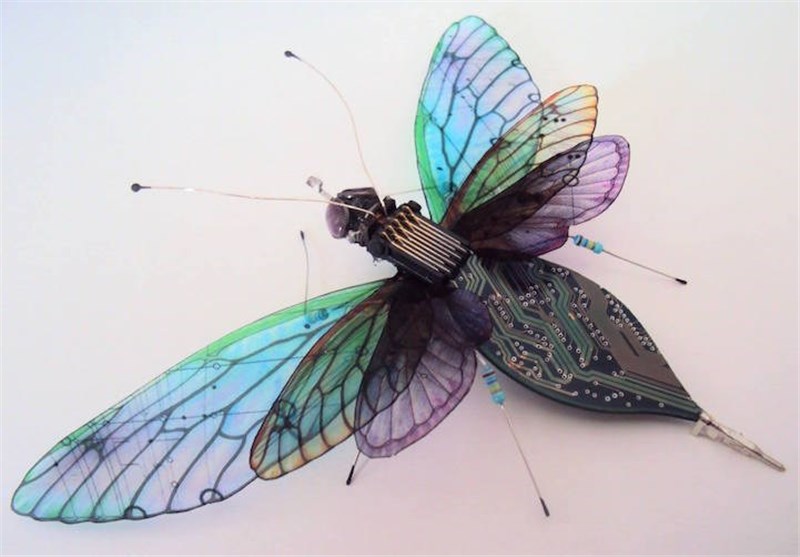 تصاویر حشرات زیبای الکترونیکی