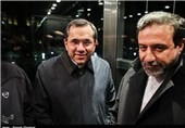 دیپلمات‌های ایرانی با همتایان خود در گروه 1+5 دیدار کردند