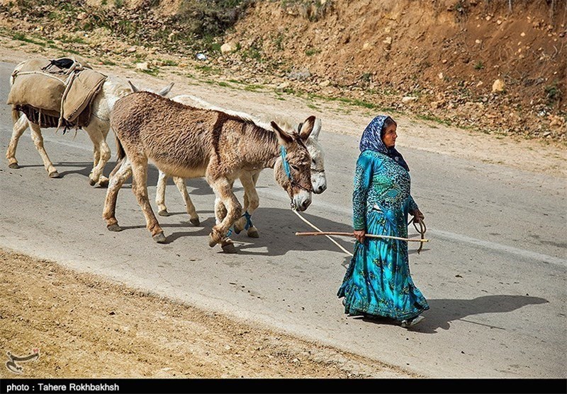 بانوی عشایری اردبیل مادر نمونه کشوری معرفی شد