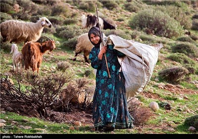خالی از سکنه شدن مناطق عشایری استان فارس؛ آب و بهداشت مهم‌ترین مطالبه عشایر است