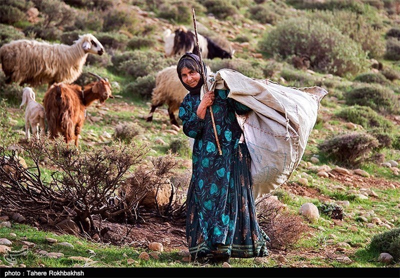 خالی از سکنه شدن مناطق عشایری استان فارس؛ آب و بهداشت مهم‌ترین مطالبه عشایر است