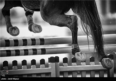 Horse Jumping Competitions Held in Tehran 