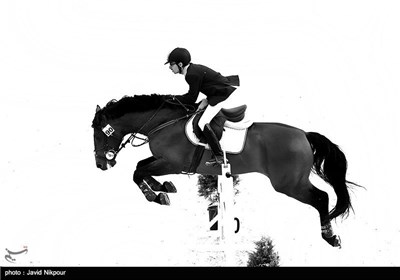 Horse Jumping Competitions Held in Tehran