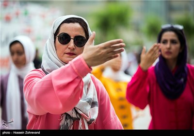 World Tai Chi, Qigong Day Observed in Tehran